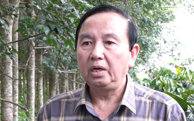 Ông Trần Ngọc Lộc, Phó tổng Giám đốc Công ty TNHH MTV Cao su Chư Sê cho biết, người dân địa phương từng không biết gì về cao su nhưng hiện nay nó đã giúp họ thoát nghèo. Ảnh: Quang Yên.