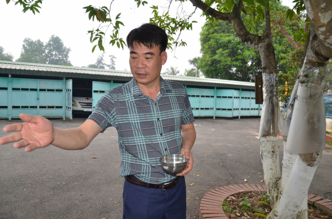 Anh Nguyễn Mạnh Hùng - Chủ nhiệm Nhà hành chính 3 tung gạo cho chim ăn. Ảnh: Dương Đình Tường.