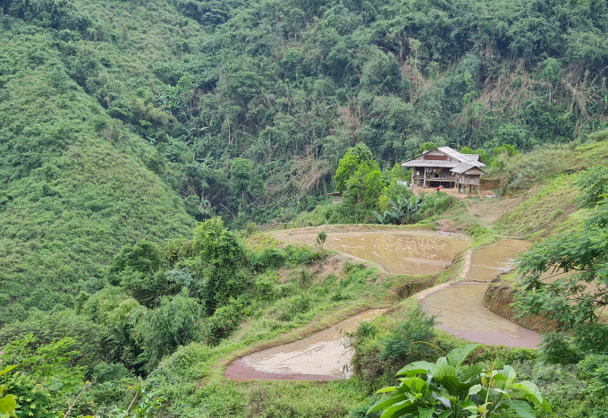 Nơi rừng thiêng nước độc ẩn chứa muôn vàn nguy cơ với lực lượng bảo vệ rừng. Ảnh: Việt Khánh. 
