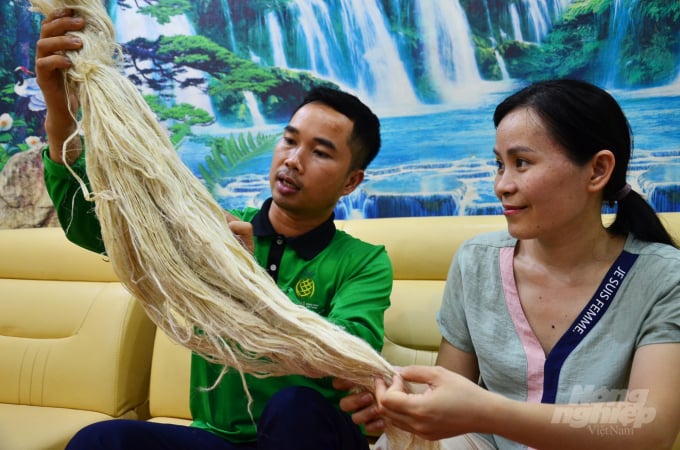 Nguyễn Văn Hạnh và Vũ Thị Liễu - đồng sáng lập Công ty Ecosoi đang xem mẫu tơ dứa. Ảnh: Dương Đình Tường.