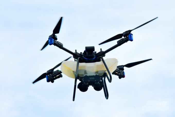Với lượng phân bón khoảng 150 kg/ha/đợt, mỗi lần drone có thể 'cõng' từ 40 - 45 kg phân bón và chỉ mất 15 phút thực hiện bón phân xong cho 1 ha lúa.. Ảnh: Lê Hoàng Vũ.