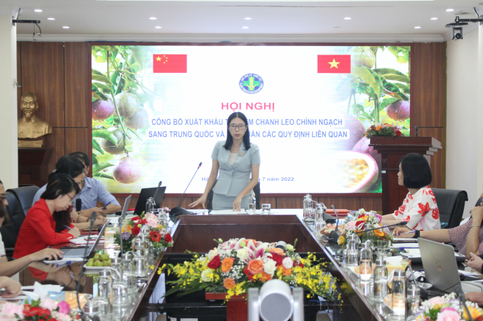 Theo Cục BVTV, Tổng cục Hải quan Trung Quốc đã có văn bản đồng ý nhập khẩu thí điểm chính ngạch quả chanh leo Việt Nam bắt đầu từ đầu từ tháng 7/2022. Ảnh: Trung Quân.