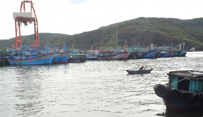 Tàu cá của ngư dân Bình Định nằm bờ sắp lớp tại Cảng cá Quy Nhơn. Ảnh: V.Đ.T.