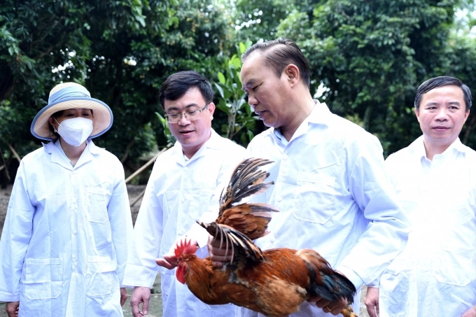 Thứ trưởng Phùng Đức Tiến cùng các lãnh đạo Cục Thú y kiểm tra tình hình phát triển đàn gia cầm tại Bắc Giang cuối tháng 6/2022. Ảnh: Phạm Hiếu.