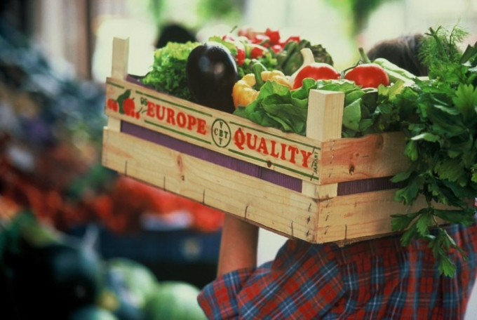 Vietnam has always given priority to promoting market opening for fruits and vegetables of the EU exporting to Vietnam. Photo: EC.