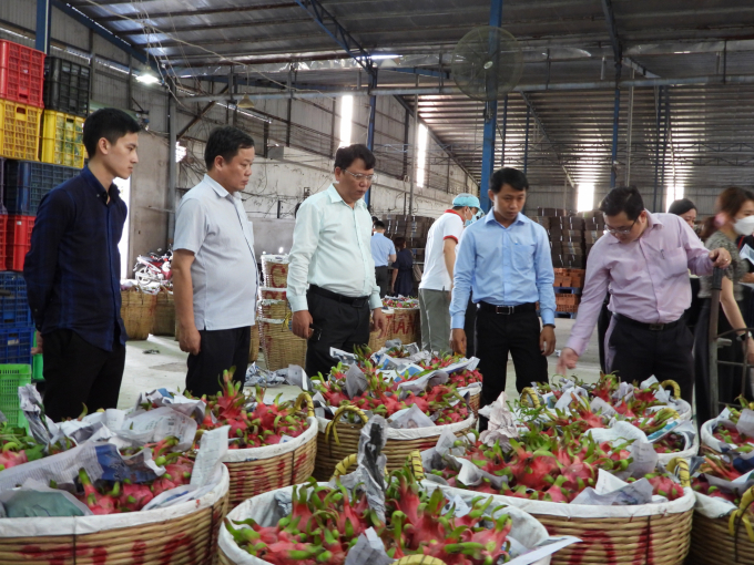 Văn phòng SPS Việt Nam thăm cơ sở sản xuất của HTX. Ảnh: Trần Trung.