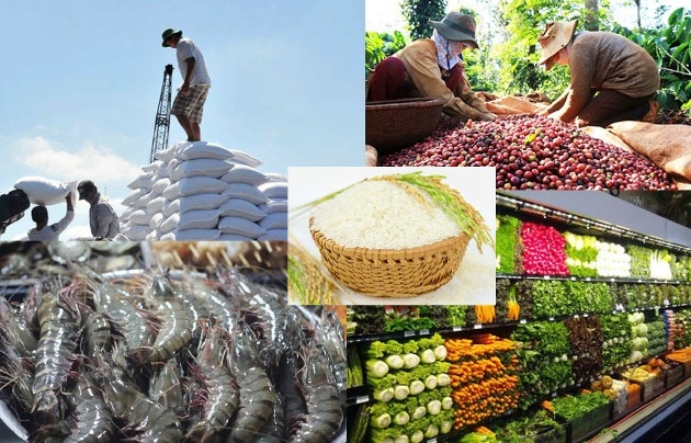 Gạo, cà phê, thủy sản (cá da trơn), rau củ quả (tươi, đã qua chế biến) là những mặt hàng chủ lực của Việt Nam xuất khẩu sang EU. Ảnh minh họa. 