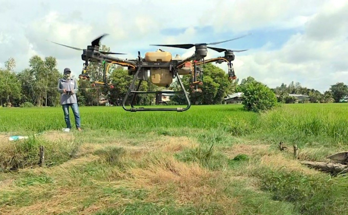 Dùng drone phun thuốc BVTV trên cây lúa tại Long An. Ảnh: Minh Đảm.
