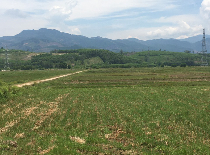 Những cánh đồng bỏ hoang ở xã Tam Nghĩa ngày càng nhiều. Ảnh: ST.