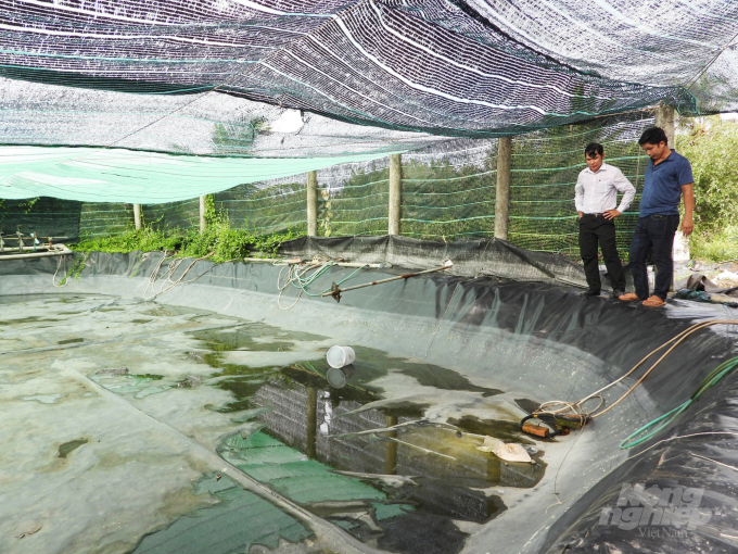 Nhiều mô hình nuôi tôm công nghệ cao tại Long An đem lại hiệu quả kinh tế cao cho nông dân. Ảnh: Thanh Sơn.