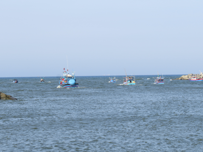 Tàu cá của ngư dân Phổ Quang nối nhau ra biển qua cửa Mỹ Á. Ảnh: Thanh Kỳ.