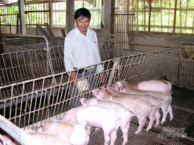 Những năm qua, tỉnh An Giang đẩy mạnh thực hiện mời gọi, khuyến khích doanh nghiệp đầu tư phát triển chăn nuôi trang trại quy mô lớn. Ảnh: Lê Hoàng Vũ.