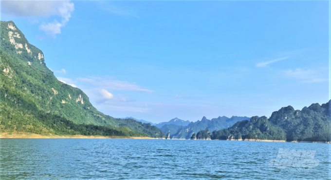 Những cánh rừng bạt ngàn bao quanh khu lòng hồ thuỷ điện Na Hang, Lâm Bình. Ảnh: Đào Thanh.