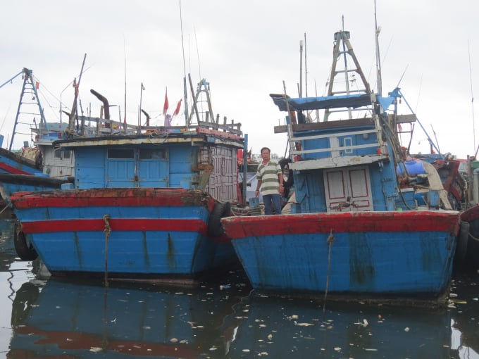 Đôi tàu cá của ngư dân Võ Mạnh neo tại cảng cá Sa Huỳnh rao bán nhưng chẳng có người mua. Ảnh: Thanh Kỳ.