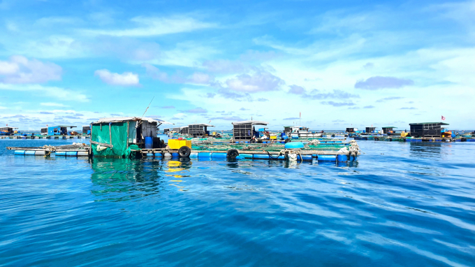 Huyện đảo Lý Sơn (Quảng Ngãi) đã quy hoạch khoảng 20ha mặt biển có điều kiện thuận lợi để nuôi trồng thủy sản. Ảnh: L.K.