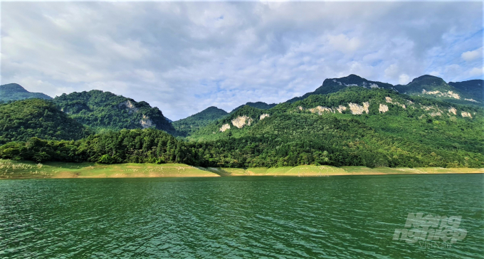 Một góc rừng trên vùng hồ sinh thái Na Hang, Lâm Bình ảnh: Đào Thanh.