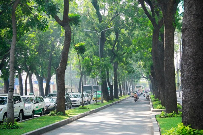 Cây xanh trên đường phố Sài Gòn.