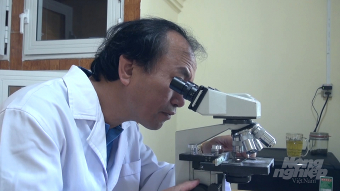 TS Nguyễn Viết Thùy đang kiểm tra tinh trùng của cá tầm đực qua kính phóng đại. Ảnh: Nhân vật cung cấp.