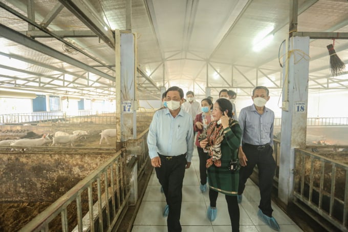 Bộ trưởng Bộ NN-PTNT Lê Minh Hoan thăm hệ thống chuồng trại nuôi heo hữu cơ theo hướng nông nghiệp tuần hoàn của Tập đoàn Quế Lâm tại Thừa Thiên - Huế.