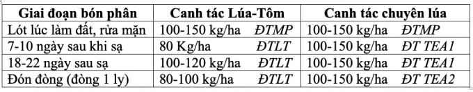 Chương trình 'Canh tác lúa thông minh' ở ĐBSCL là chương trình hợp tác giữa Trung tâm Khuyến nông Quốc gia và Công ty Cổ phần Phân bón Bình Điền.