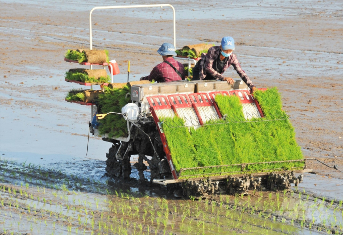 Hiện nay, có nhiều doanh nghiệp lớn đầu tư phát triển vùng nguyên liệu sản xuất lúa gạo tại Kiên Giang, áp dụng cơ giới hóa đồng bộ, nâng cao chuỗi giá trị. Ảnh: Trung Chánh.