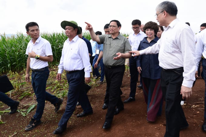 Thủ tướng đã ghi nhận, biểu dương những nỗ lực, kết quả mà Tập đoàn TH đạt được trong những năm qua. Ảnh: Tùng Đinh.