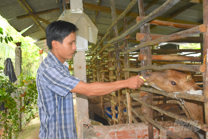 Anh Nguyễn Hoàng Việt đam mê và khởi nghiệp với nghề chăn nuôi hươu lấy nhung. Ảnh: Minh Đảm.