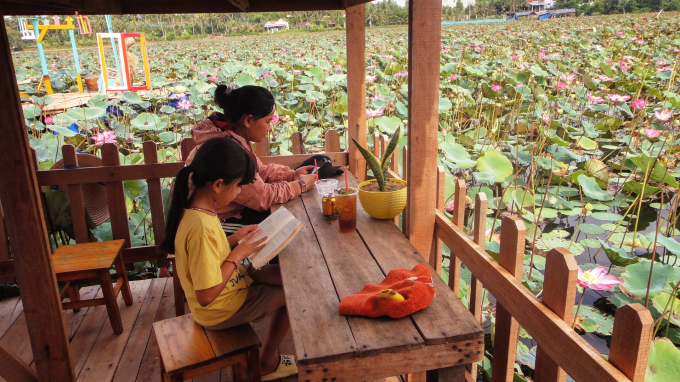 Visitors come to enjoy the '5 Xong' lotus pond, enjoy lotus drinks, relax, and breathe the scent of lotus flowers. Photo: V.D.T.