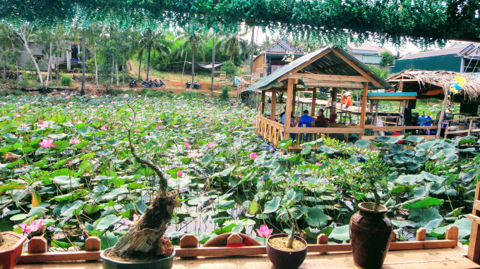 Floating stilt house built on a lotus pond to welcome visitors. Photo: V.D.T.