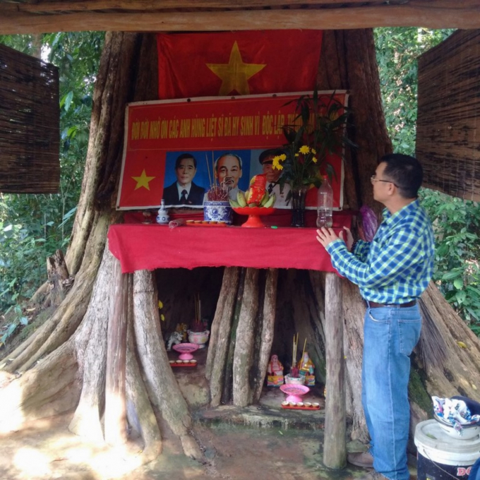 Gốc cây kơ nia cổ thụ, được dùng làm bàn thờ Chủ tịch Hồ Chí Minh, Đại tướng Võ Nguyên Giáp và Tổng Bí thư Nguyễn Văn Linh. Ảnh: Nguyễn Nam.