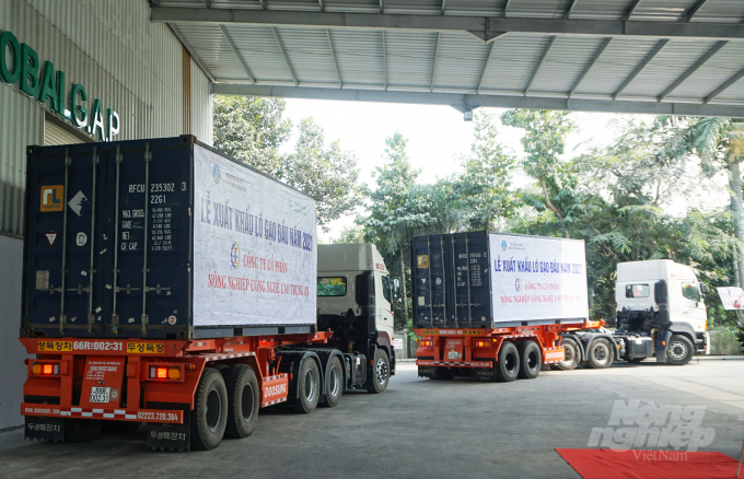    Hiện nay, gạo ở ĐBSCL xuất khẩu phải vận chuyển về cảng Cát Lái (TP.HCM) và cảng Thị Vải - Cái Mép (Bà Rịa - Vũng Tàu). Ảnh: Hữu Đức.