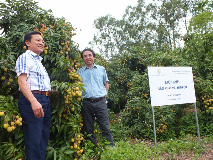 Bắc Giang đang xây dựng nhiều mô hình liên kết sản xuất đáp ứng yêu cầu của các thị trường xuất khẩu. Ảnh: LB.