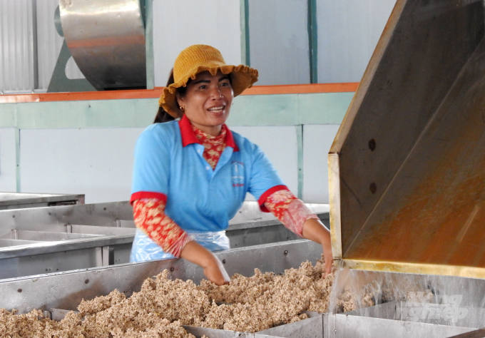 Chế biến mủ cao su ở Công ty Cổ phần Cao su Bà Rịa - Kampong Thom. Ảnh: Thanh Sơn.