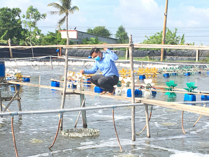 Tỉnh Bến Tre đặt mục tiêu phát triển 4.000ha tôm công nghệ cao đến năm 2025. Ảnh: Minh Đảm.