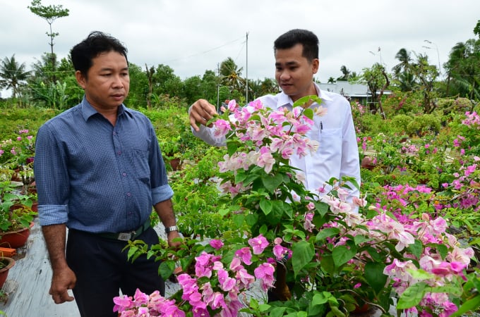 Anh Trần Thanh Phương (trái) và cán bộ xã Phú Sơn đang đi thăm vườn hoa giấy. Ảnh: Dương Đình Tường.