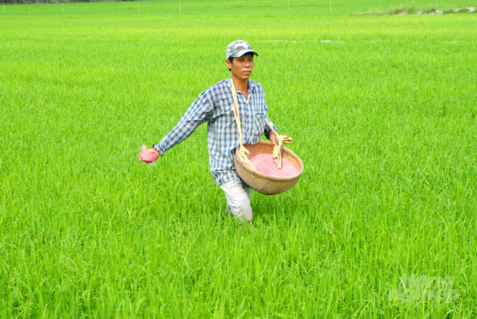 Nông dân ĐBSCL nhận thức rằng, hệ thống thủy lợi đóng vai trò quan trọng trong sản xuất nông nghiệp, đặc biệt trong vụ lúa thu đông 2022. Ảnh: Lê Hoàng Vũ.