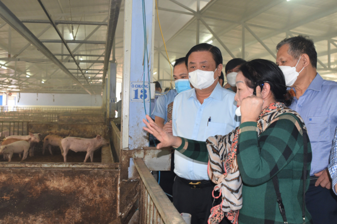 Bộ trưởng Bộ NN-PTNT Lê Minh Hoan kiểm tra mô hình chăn nuôi an toàn sinh học ở Thừa Thiên - Huế. Ảnh: Hoàng Anh.