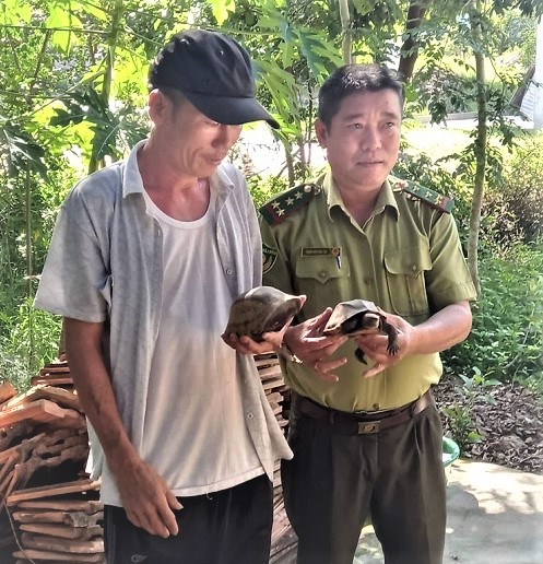 Người dân tự nguyện giao nộp các cá thể rùa quý hiếm về cho Vườn Quốc gia Phong Nha - Kẻ Bàng. Ảnh: TH.