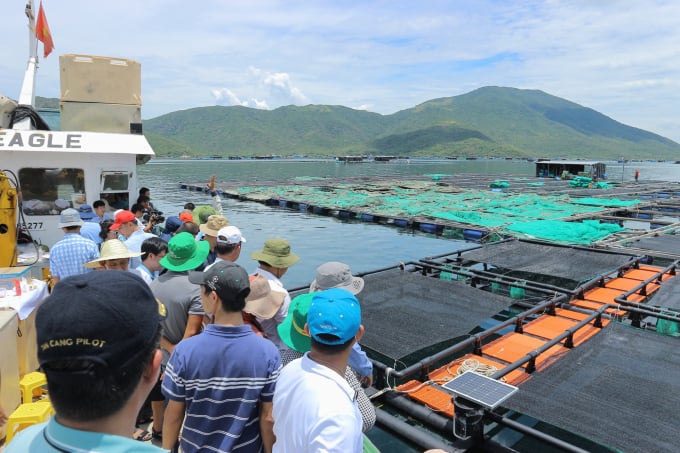 Ngư dân tham quan mô hình nuôi lồng HDPE trên vịnh Vân Phong, tỉnh Khánh Hòa. Ảnh: KN.