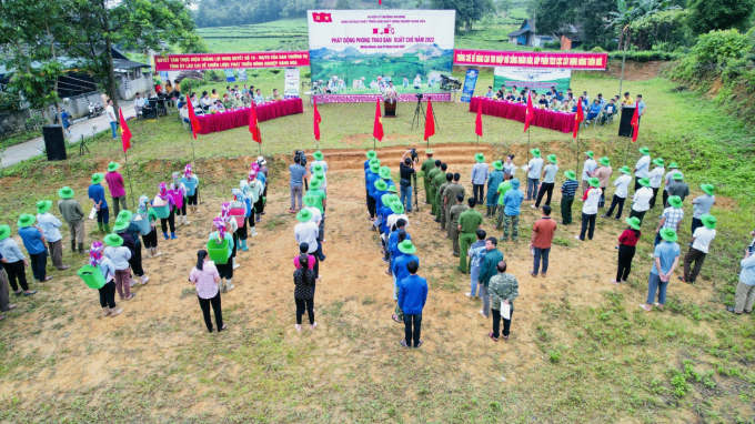  lễ phát động 'Phong trào sản xuất chè' năm 2022 tại xã Bản Sen (huyện Mường Khương) ngày 7/8. Ảnh: Đăng Hải.