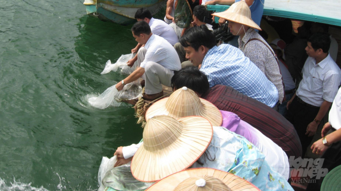 Thả tái tạo nguồn lợi thủy sản bản địa trên hồ Thủy điện Tuyên Quang. Ảnh: Đào Thanh.