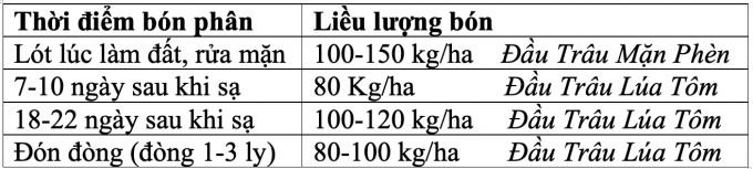 Thời điểm và liều lượng bón phân cho lúa trong canh tác lúa - tôm.