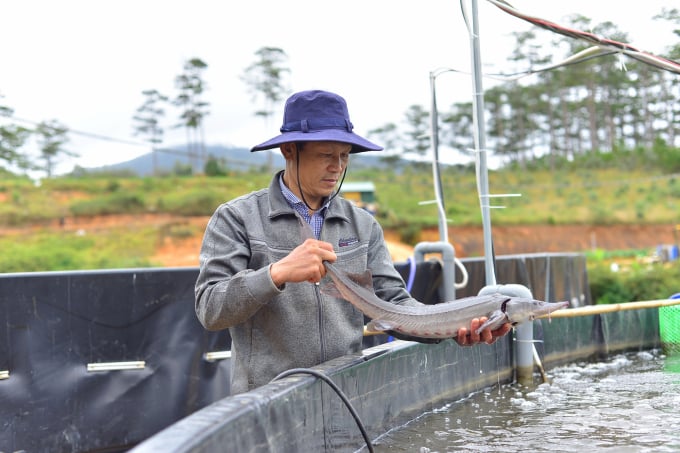 Lâm Đồng là địa phương có lợi thế về điều kiện tự nhiên, khí hậu để phát triển nuôi trồng thủy sản, nhất là nuôi cá nước lạnh. Ảnh: Minh Hậu.