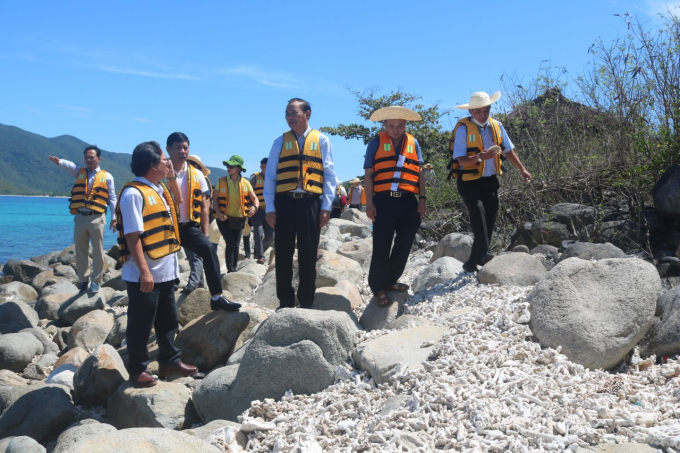 Deputy Minister of Agriculture and Rural Development Phung Duc Tien inspecting dead corals in Hon Mun. Photo: KS.