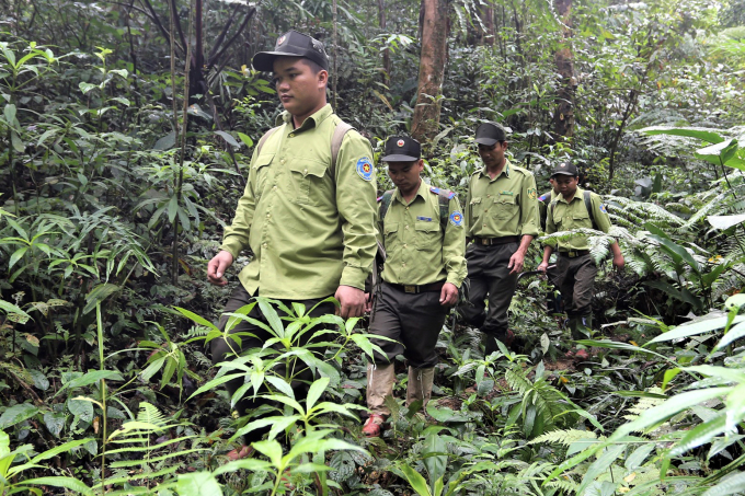 Lực lượng kiểm lâm, bảo vệ rừng hiện nay đang còn gặp nhiều khó khăn. Ảnh: Báo Quảng Nam.