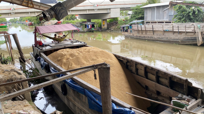 Đến cuối năm 2021, dư nợ cho vay thu mua, xay xát, chế biến lúa gạo lên đến 1.880 tỷ đồng, giúp ổn định chuỗi cung ứng lúa gạo cho vùng ĐBSCL. Ảnh: Minh Phúc.