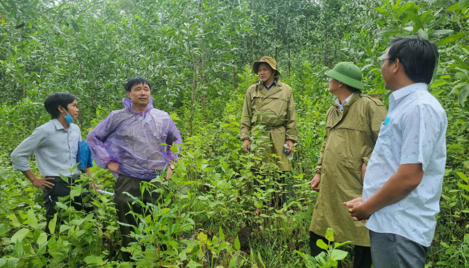 Đoàn giám sát của Hội đồng Nhân dân tỉnh Gia Lai kiểm tra công tác trồng rừng tại huyện Krông Pa. Ảnh: Tuấn Anh.