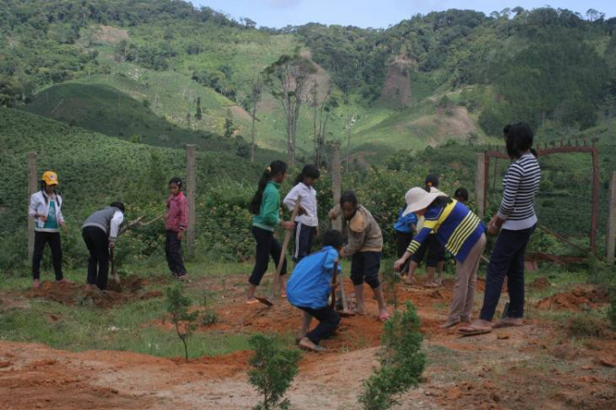Hoạt động trồng cây xanh ở VQG Bidoup – Núi Bà.