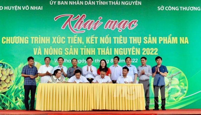 Các đại biểu ký kết hợp tác xúc tiến, kết nối thiêu thụ nông sản của tỉnh Thái Nguyên. Ảnh: Đồng Văn Thưởng.