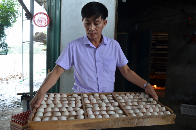 Chuỗi trứng vịt ở Liên Châu. Ảnh: NNVN.